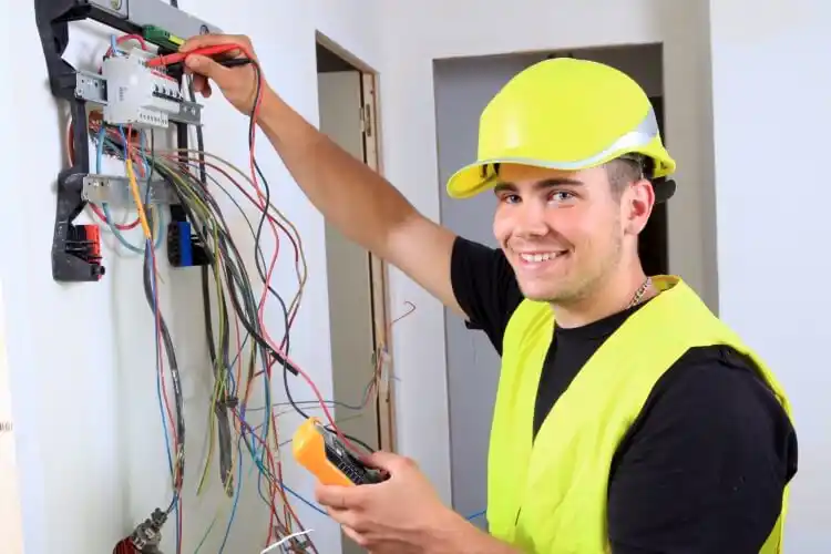 elektricien Vogelwaarde